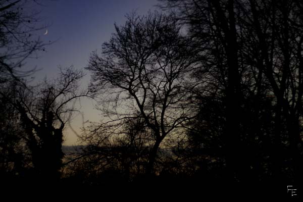 IMG_4177